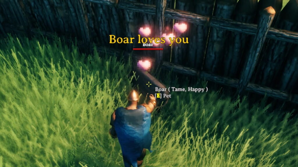 Captura do videoxogo "Valheim" onde se amosa un xabarín preso sendo acariciado pola xogante, co texto "Boar loves you"